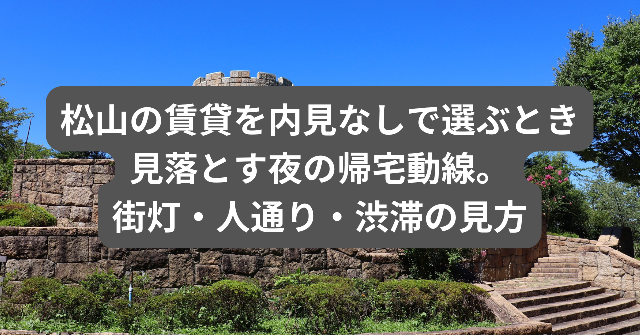 夜の松山市街地の帰宅動線、街灯と人通りの様子